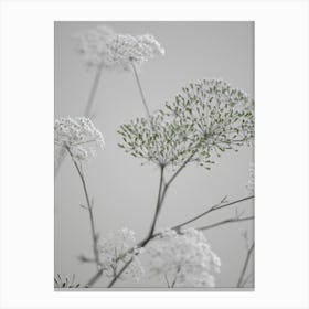 White Greige Flower Blossoms Canvas Print