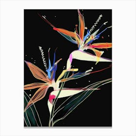 Neon Flowers On Black Bird Of Paradise 1 Canvas Print