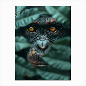 Chimpanzee Portrait Canvas Print