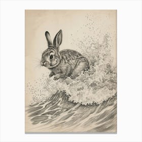 Mini Rex Rabbit Drawing 2 Canvas Print