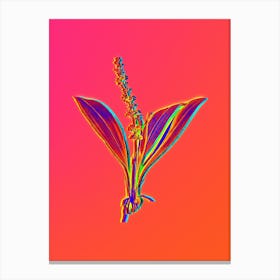Neon Peliosanthes Teta Botanical in Hot Pink and Electric Blue n.0590 Canvas Print
