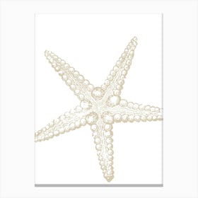 Starfish 23 Canvas Print