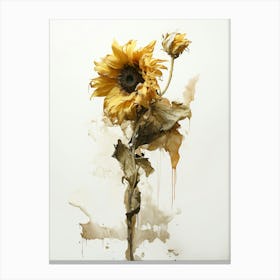 Sunflower 37 Canvas Print