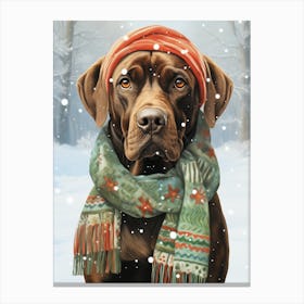 Boxer Wearing A Christmas Scarf Canvas Print