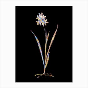 Stained Glass Ixia Fusco Citrina Mosaic Botanical Illustration on Black n.0280 Canvas Print