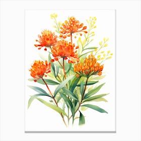 Butterfly Weed Wildflower In Watercolor  (4) Canvas Print