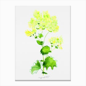 Yellow flower watercolor artwork Canvas Print