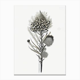 Silver Torch Joshua Tree Gold And Black (7) Canvas Print