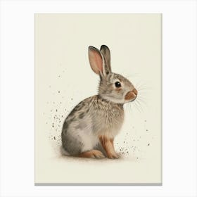Argente Rabbit Nursery Illustration 4 Canvas Print