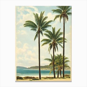 Apollo Bay Beach Australia Vintage Canvas Print