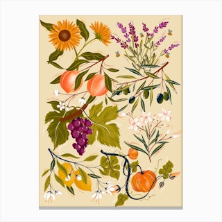 Mediterranean Botanical Pattern Canvas Print
