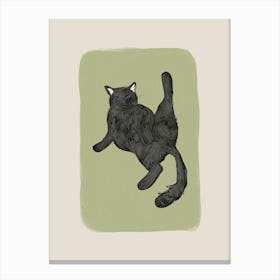 Black Cat Canvas Print