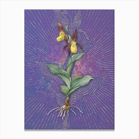 Vintage Lady's Slipper Orchid Botanical Illustration on Veri Peri n.0836 Canvas Print