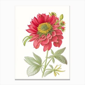 Zinnia Floral Quentin Blake Inspired Illustration Flower Canvas Print