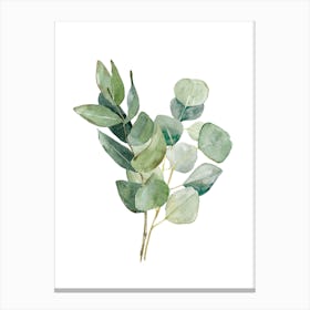 Green Leaf Stems Watercolour Art Print Canvas Print