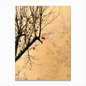 Apricot Tree 20220102 219ppub Canvas Print