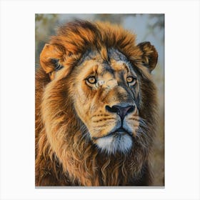 Barbary Lion Portrait Close Up 5 Canvas Print