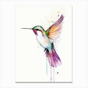 Calliope Hummingbird Minimalist Watercolour 1 Canvas Print