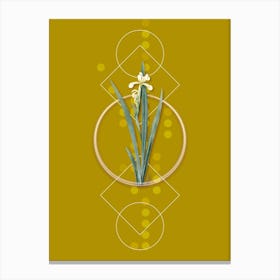 Vintage Yellow Banded Iris Botanical with Geometric Line Motif and Dot Pattern Canvas Print