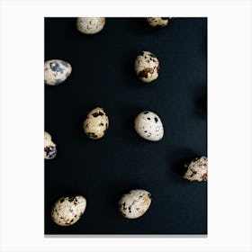 Quail Eggs 9 Canvas Print