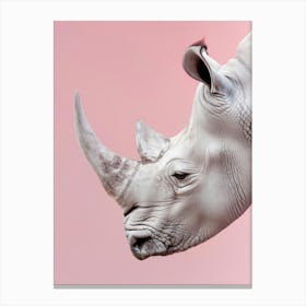 Rhino - Close Up Canvas Print