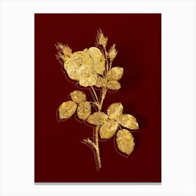 Vintage White Misty Rose Botanical in Gold on Red n.0200 Canvas Print