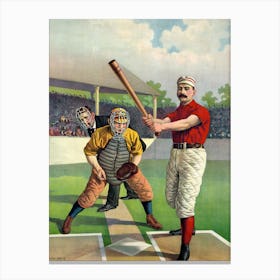 Baseball Player And Catcher Toile