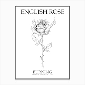 English Rose Burning Line Drawing 2 Poster Canvas Print