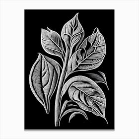 Sweet Almond Leaf Linocut 2 Canvas Print