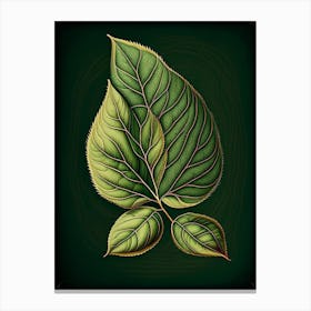 Tea Leaf Vintage Botanical 1 Canvas Print
