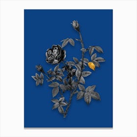 Vintage Moss Rose Black and White Gold Leaf Floral Art on Midnight Blue n.0503 Canvas Print