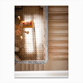 Staircase Monserrate Canvas Print