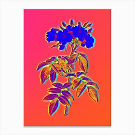 Neon Musk Rose Botanical in Hot Pink and Electric Blue n.0397 Canvas Print
