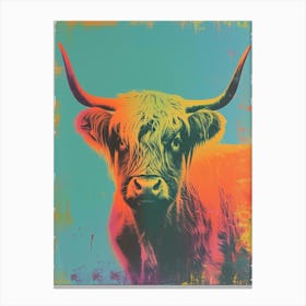 Highland Cattle Polaroid Inspired 1 Canvas Print