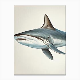 Great White 2 Shark Vintage Canvas Print