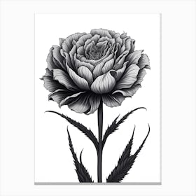 A Carnation In Black White Line Art Vertical Composition 22 Canvas Print