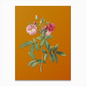 Vintage Hudson Rose Botanical on Sunset Orange Canvas Print