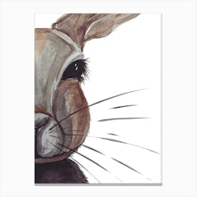 Bunny Animal Canvas Print