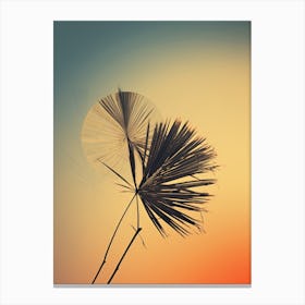 Sunset Stock Videos & Royalty-Free Footage Canvas Print