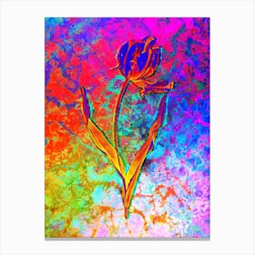 Didier's Tulip Botanical in Acid Neon Pink Green and Blue n.0295 Canvas Print