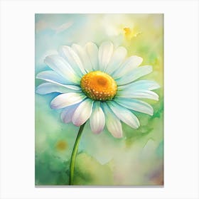 Daisy 2 Canvas Print