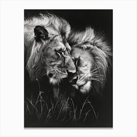 African Lion Charcoal Drawing Rituals 1 Canvas Print