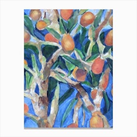 Loquat Classic Fruit Canvas Print