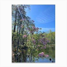 What Looks Like a Rhododendron Canvas Print