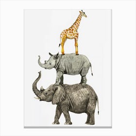 Animals Canvas Print