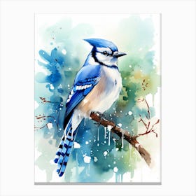 Snowy Blue Jay 1 Canvas Print