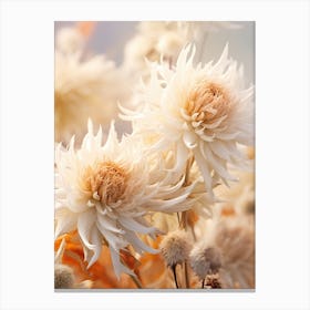 Boho Dried Flowers Bee Balm 4 Canvas Print