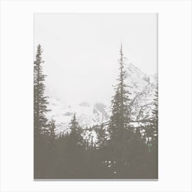 Snowy Mountains Canvas Print