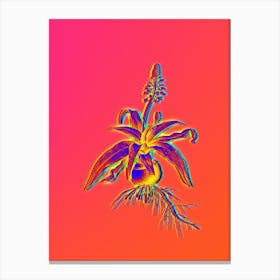 Neon Lachenalia Lanceaefolia Botanical in Hot Pink and Electric Blue n.0442 Canvas Print