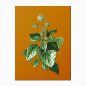 Vintage Common Ivy Botanical on Sunset Orange n.0350 Canvas Print